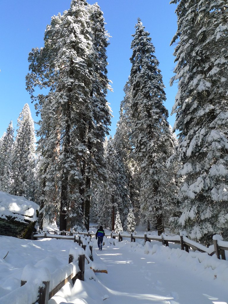 Christmas2010 196.JPG